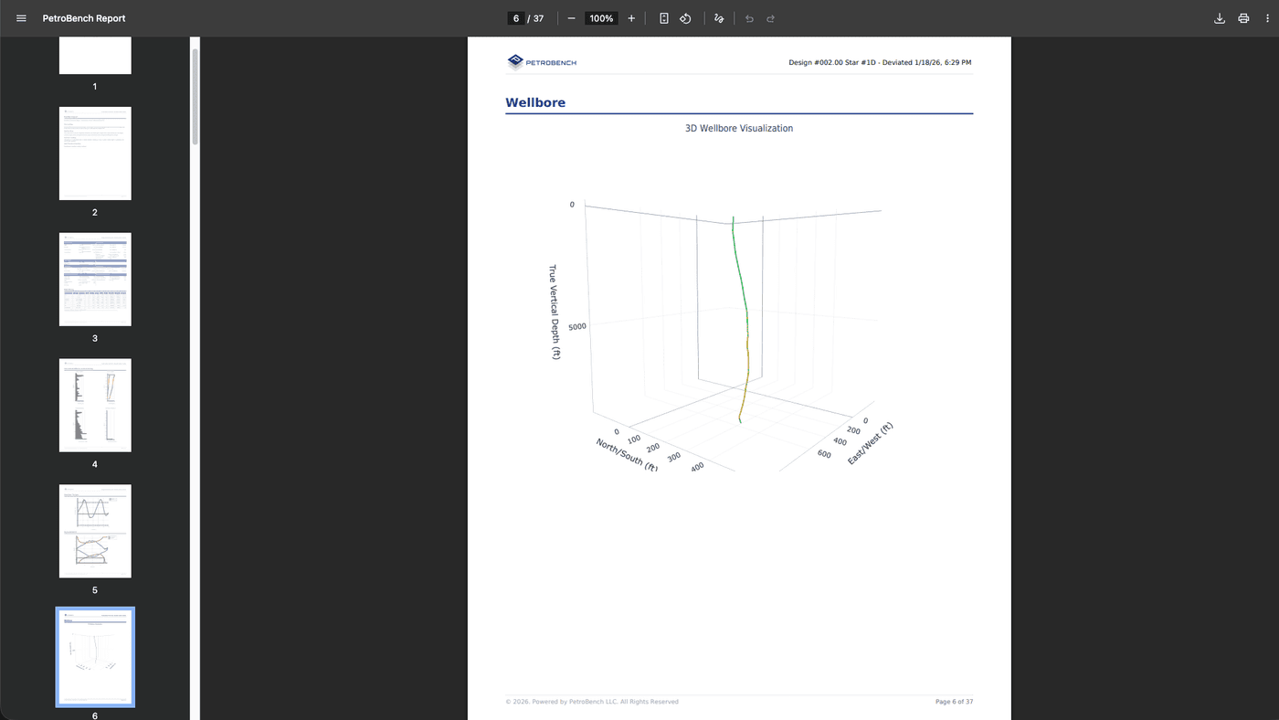3D wellbore visualization in PDF report